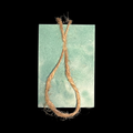 Tobacco & Bay Leaf Soap On A Rope